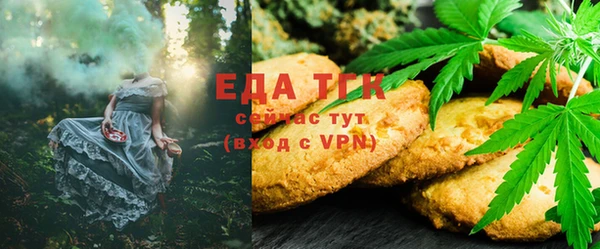 стаф Белокуриха