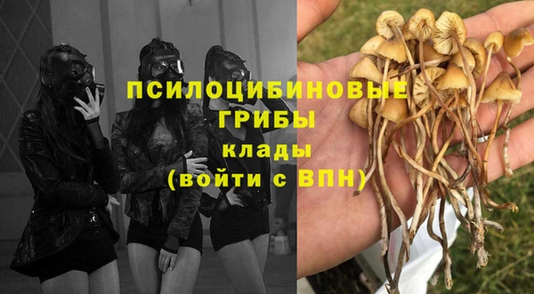 стаф Белокуриха