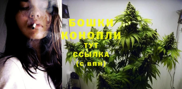 стаф Белокуриха