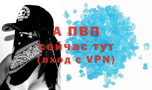 стаф Белокуриха