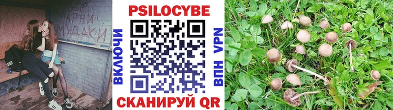 Галлюциногенные грибы мухоморы  MEGA   Высоковск 